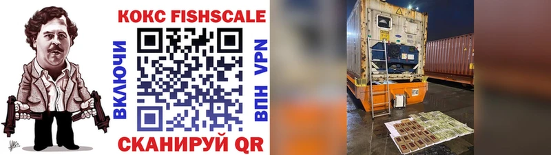 COCAIN Fish Scale сколько стоит Мезень