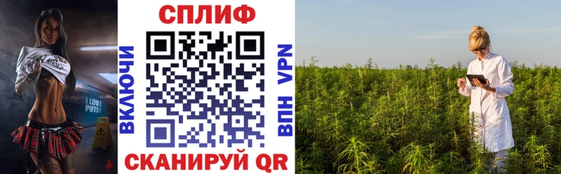 где купить наркоту  Мезень  Канабис Bruce Banner 